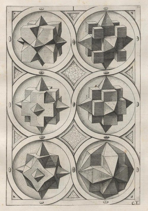 cassiatsura:  perspectiva corporum regularium by Wenzel Jamnitzer 
