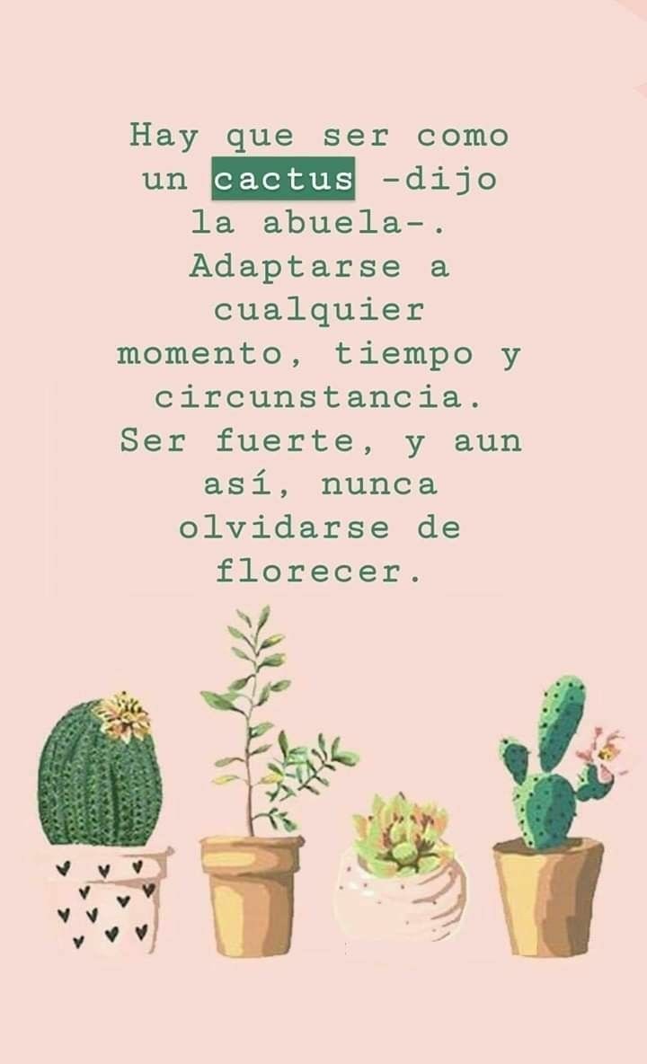 laurabonillag:  