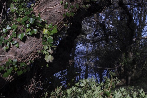 buron: Bridge Over the River (vii) ©sydburon - April ‘16