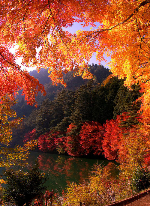 lori-rocks:gateway to autumn…. by ninjazz