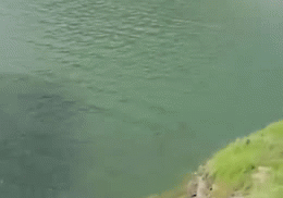 sixpenceee:  Let’s take a swi- Nevermind Monticello Dam at Lake Berryessa in Napa County, also called Morning Glory Hole. People have died because of it. A U.C graduate student in 1997 was sucked in and did not survive the incident. It is a giant storm