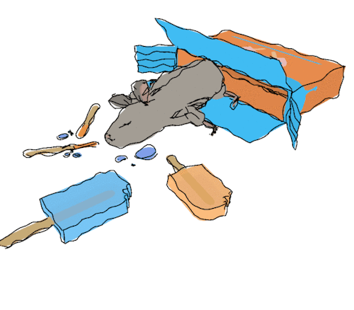 kcamberart:local rat eats all popsicles in town, naps in empty box. more at 11