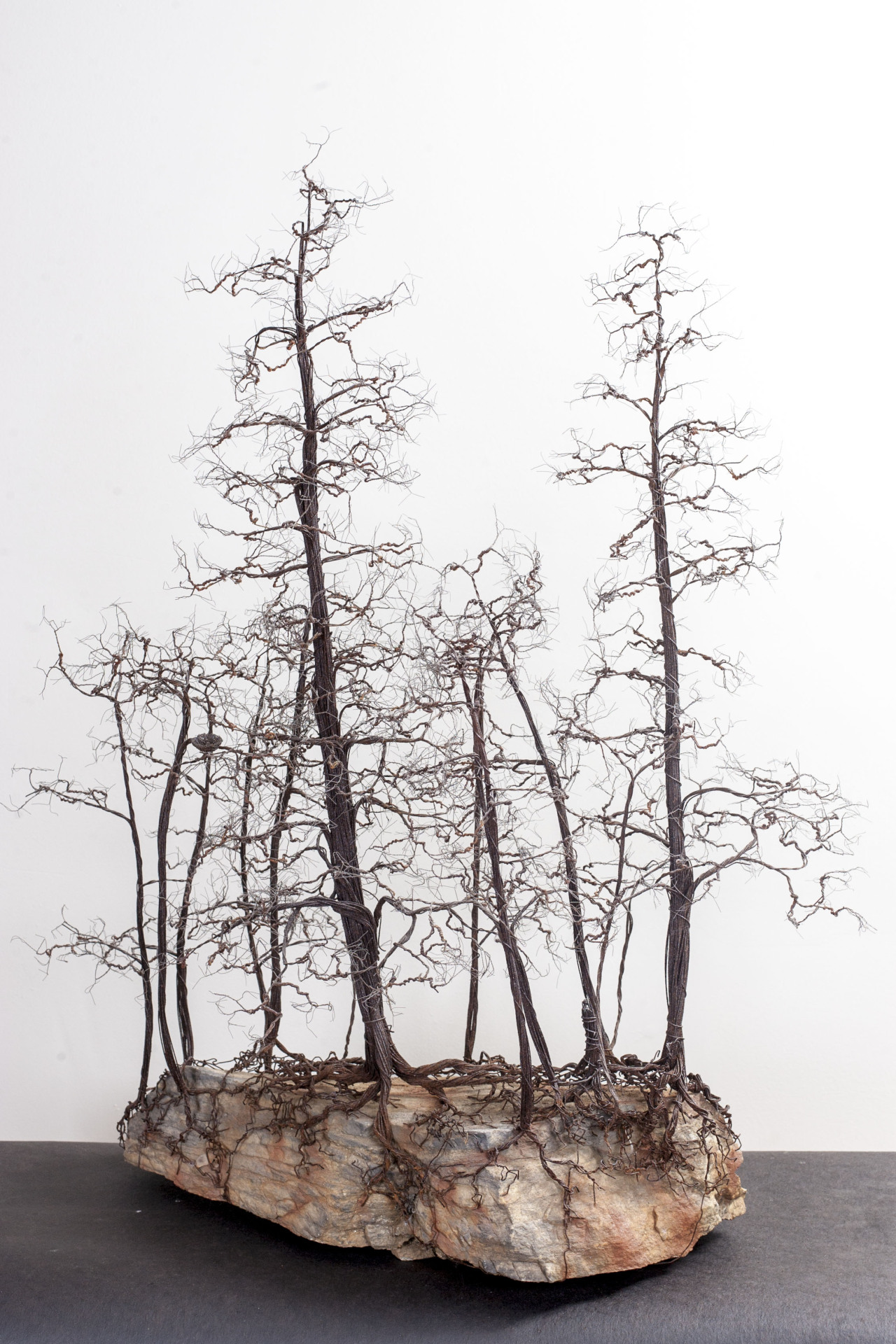 kchampeny:   Kevin Champeny Copper Winter Grove30”wide x 38”tall x 17” deep