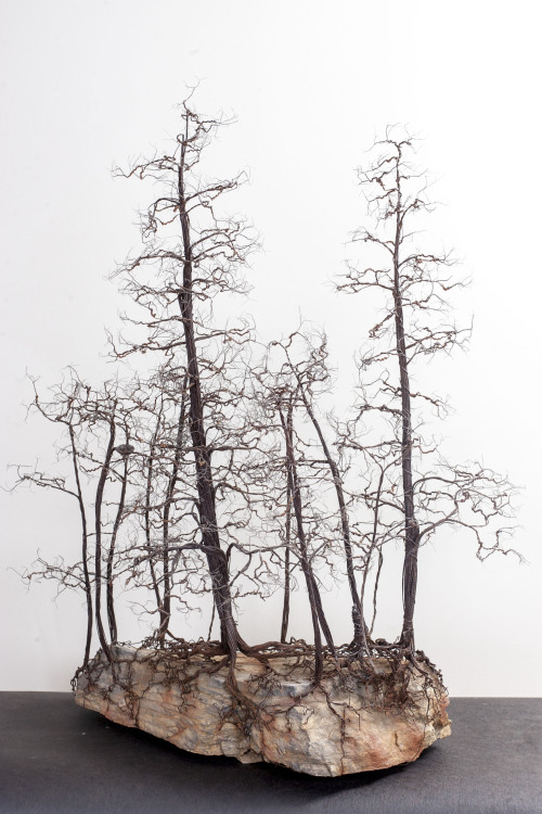 kchampeny:   Kevin Champeny Copper Winter Grove30”wide x 38”tall x 17” deep 62 lbs Grove of miniature bonsai style trees constructed from 5000+ feet of 14 gauge copper coated steel, 2000+ feet of 32 gauge bare copper wire.  The trees are hand tied