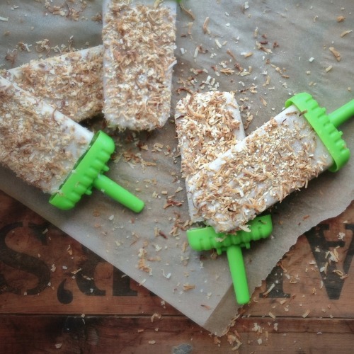 Coconut Ice Pops -1 can organic, light coconut milk3 bananas1 tsp vanilla extract2 tbsp hemp