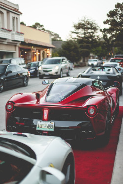 thephotoglife:  1 of 499