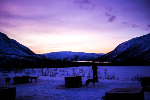 worldstreetjournal:Husky sledding in Tromsø, Norway in the Blue HourIn January, the sun rises for al