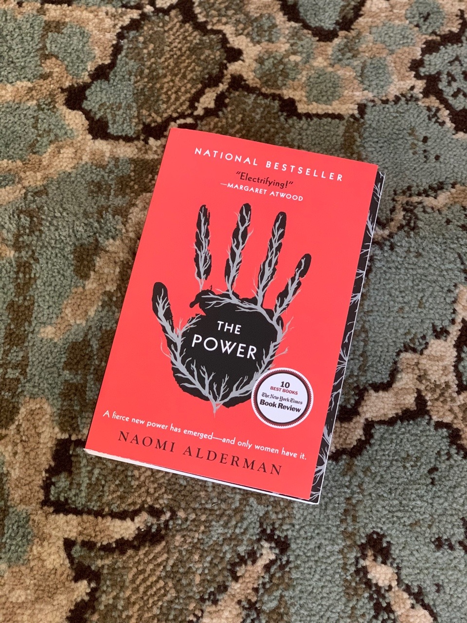 Book ReviewI just, in this moment, finished The Power by Naomi Alderman. I am equally