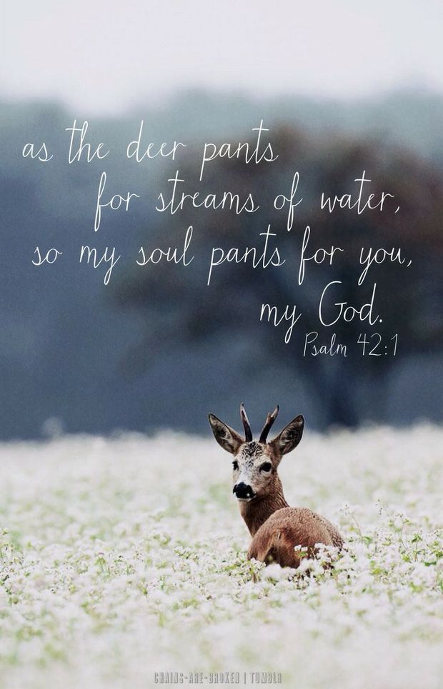 27 Bible verses about Deer Etc.