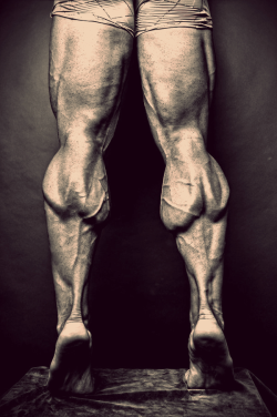 musclegods2:  Foot Pedestal III. View All