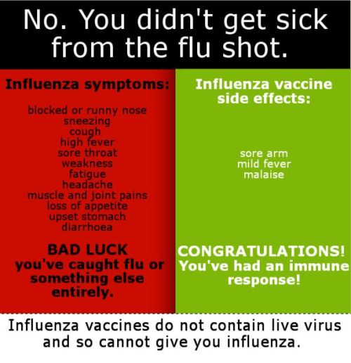 Day 8: Flu Shot You cannot get the flu from the flu shot. The virus in the vaccine has been manipula
