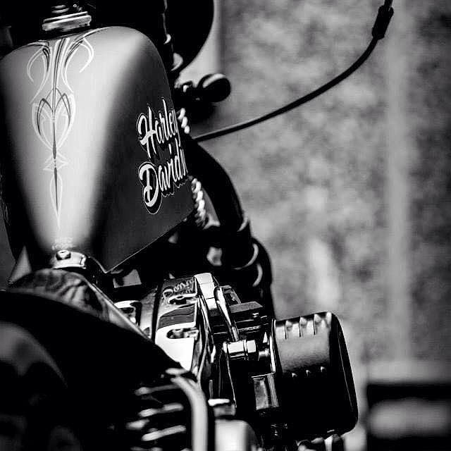 Asphalt Angel