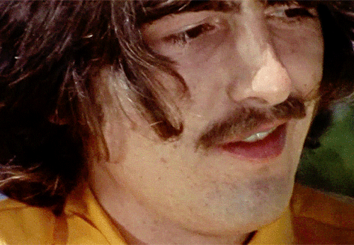 George Picture Of The Day 5-6-24