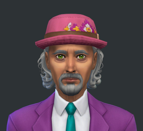 More Stardew NPC Sims: (mouse Hat Vendor, Travelling Merchant, The Witch, Bookseller)