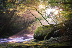 phantastrophe:  Kikuchi, Japan | Photographer: Masato Mukoyama 