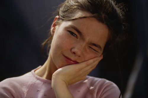 warmthestcord: Björk by Hermann Jansen