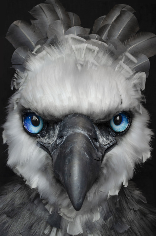 A commissioned Aarakocra, based on a battle scarred harpy eagle! Resin base with moving jaw, and a c