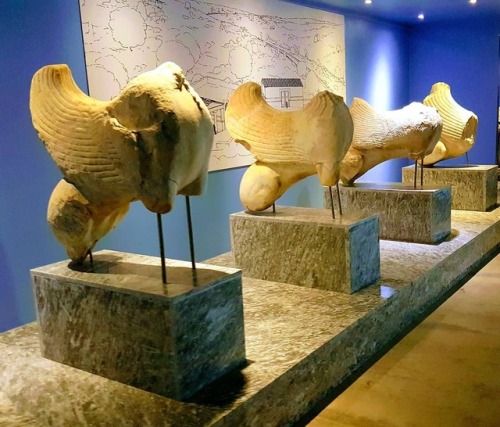 antiquity-times:Sphinx sculptures belonging to the terraced structure on the sacred path, Miletus Mu