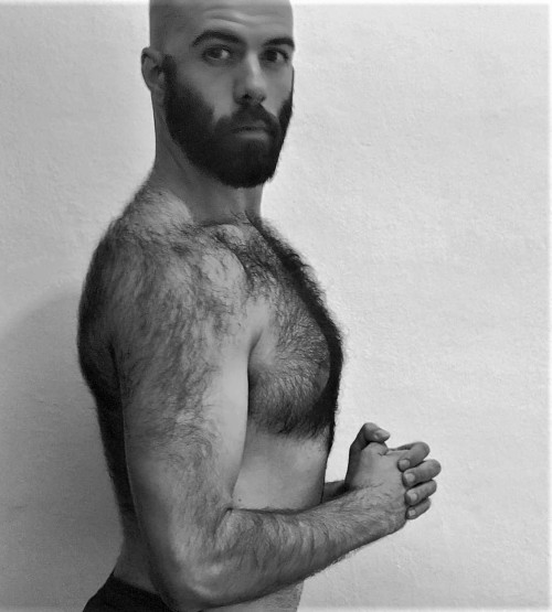 hairy-fairies12:kazhairy0: www.instagram.com/abel_obelisco/ He’s such a handsome bald bear w