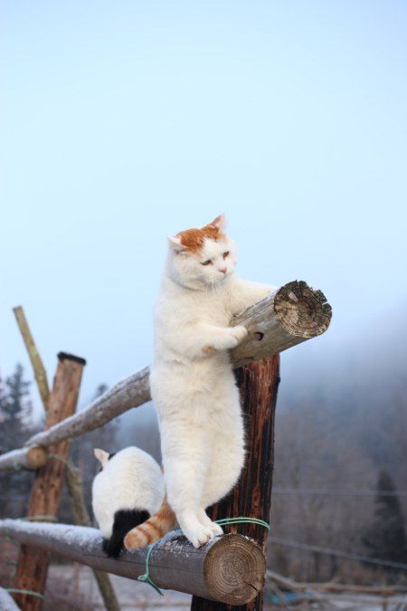 oooooooo:  if i could jus…get …over….there… | Life on earth | Pinterest