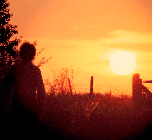 userboo: It is all the more tragic in that they were young. But, had they lived very, very long live userboo: It is all the more tragic in that they were young. But, had they lived very, very long live