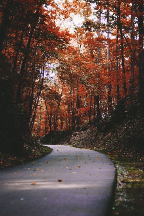 sensational-autumn:clarksville greenway // Elijah M. Henderson