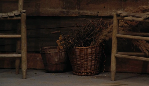 365filmsbyauroranocte:  Daughters of the Dust (Julie Dash, 1991)  