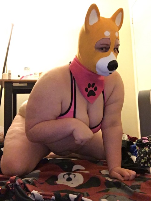 Pudgy Puppy