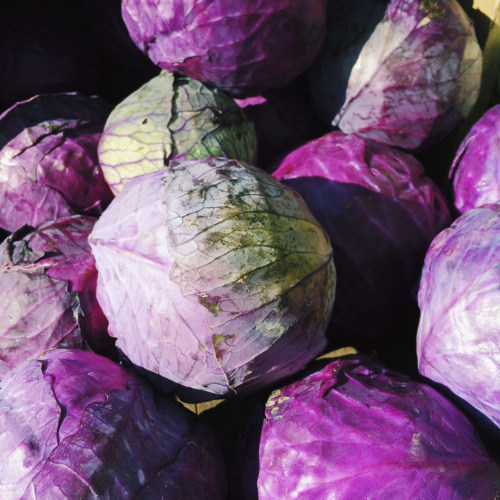 Farmers Market Vegetables.