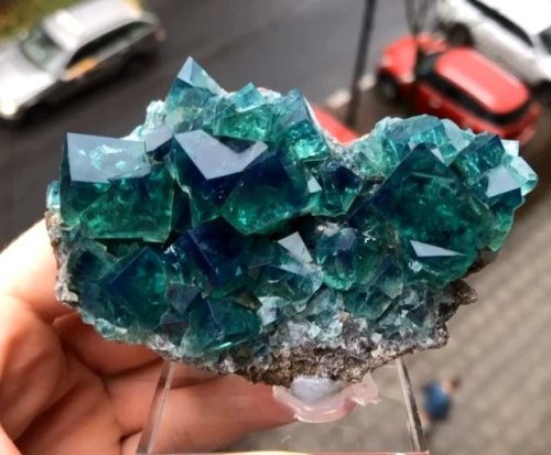 geologyin-blog:Stunning Fluorite crystals from the famous Rogerley Mine (UK), Photo: Spirifer Minera