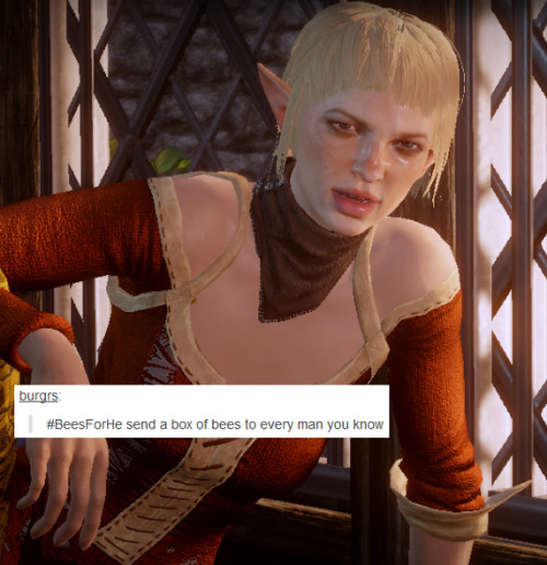 bubonickitten:  Dragon Age: Inquisition + text posts I can’t sleep, so I decided to do this instead. I’ll be doing more at some point I’m sure because I won’t be content until I run this meme right into the ground. More DA text post memes: Marian