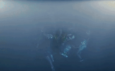 c443e98e99fdba1041525e3644538256a13abffa.gifv