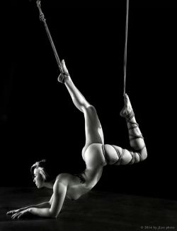 gorgone-kinbaku:  Gorgone tied by Kanso // pictures: JLee