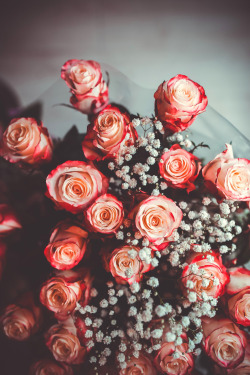 visualechoess:  Flowers | Photographer  Flowers can make anyone&rsquo;s day 1000x better.