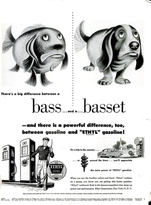 mostlysignssomeportents:Differences between corn and unicorn, brought to you by Ethyl #5yrsgo