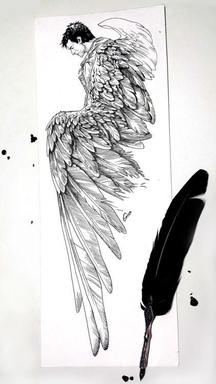 sketching-fox: Inktober 2018! And SupToberArt 2018 - Day 05: Feathers! One more day complete!  