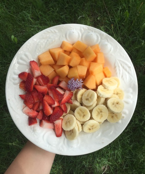 loveveganfoodie:Cantaloupe, banana and strawberries. And my puppy. ✨