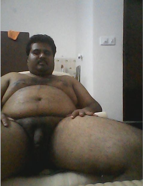 thalhaebraheem:indianbears:Probably the only dedicated INDIAN BEARS blog in Tumblr: INDIANbea