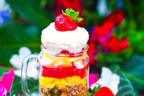 Olenko’s Raw Vegan Oat Parfait with Jackfruit and Strawberries   Oats: 1 cup gluten free organ