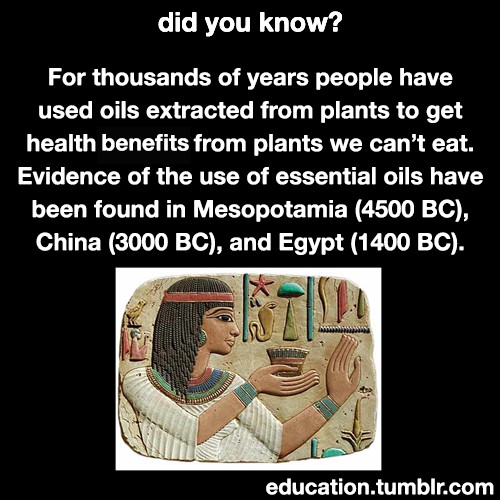 wespikeloveus: lifeisgoldenforfree:  bisexualgodess16:  education: Learn More About