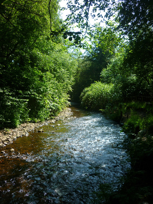 Bryngarw Country Park, Garw Valley, Bridgend - July 2013cool and lush and green on a baking hot summ