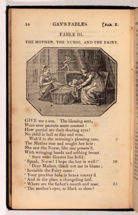 Gay’s Fables - Archdeacon Coxe London Thomas Tegg 1841 - A New Edition 