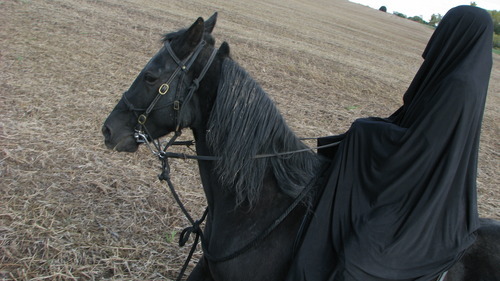 thespooklock:  thespooklock:  so my plan for halloween is to dress up as a Nazgul with my black horse and go trick or treating but instead of saying “trick or treat” i’ll either scream or hiss “Bagginssssssssss, Shhhhhhhire” and then ransack