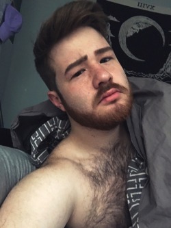 bearded-dad:Hungover needing food + snugs