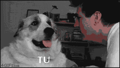 Ninguna eternidad como la mía