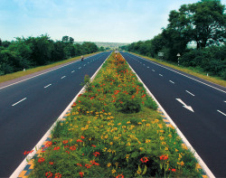 indiaincredible:   National Highways Authority