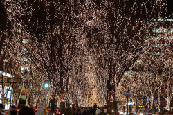 r-e-i-l-a:  SENDAI Pageant of Starlight by