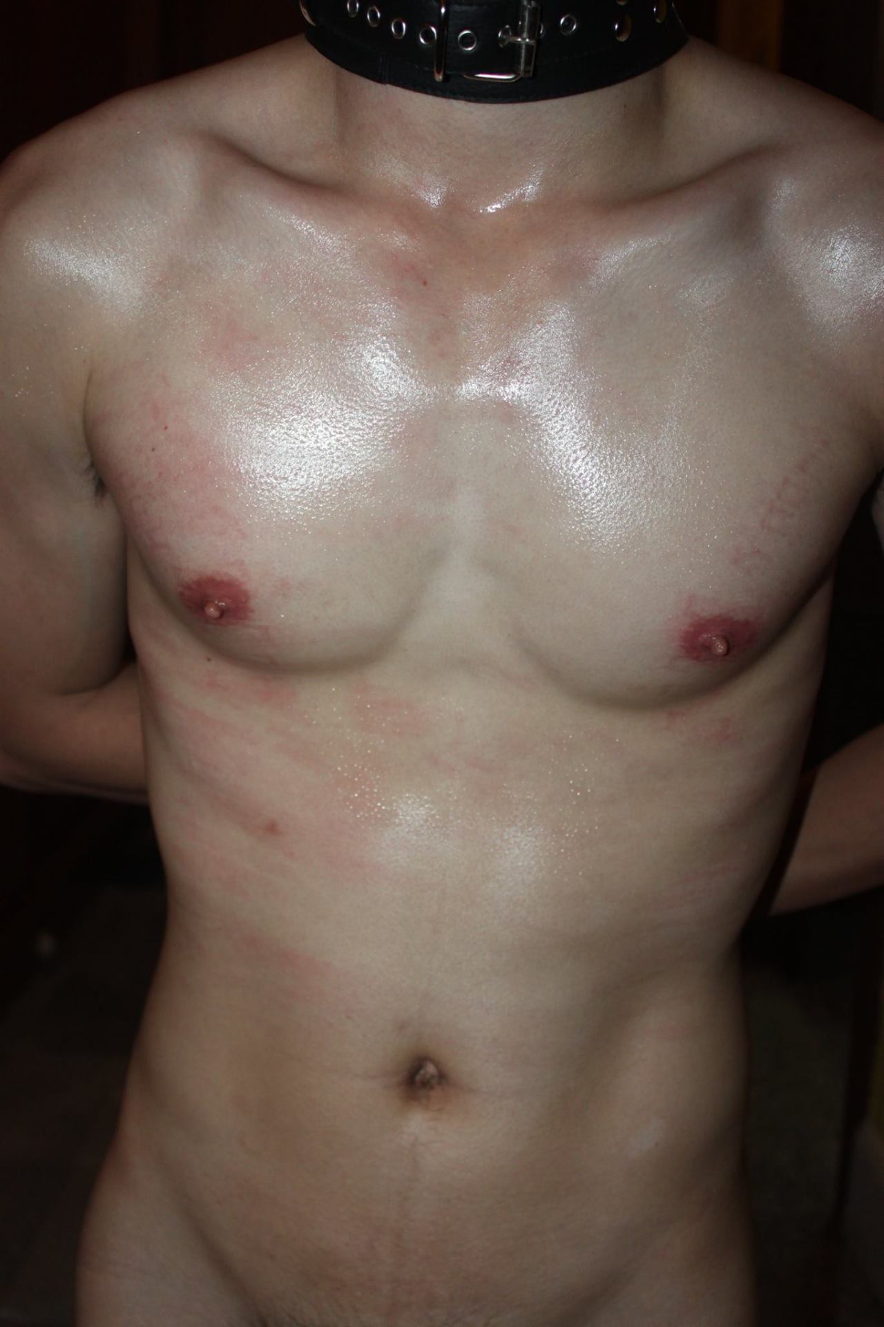 dom4gam:  Thai pain slave from Phuket