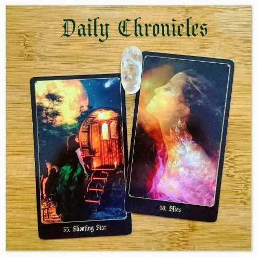 #dailychronicles for November 17th. How’s this for a gorgeous pairing, these two are the most 