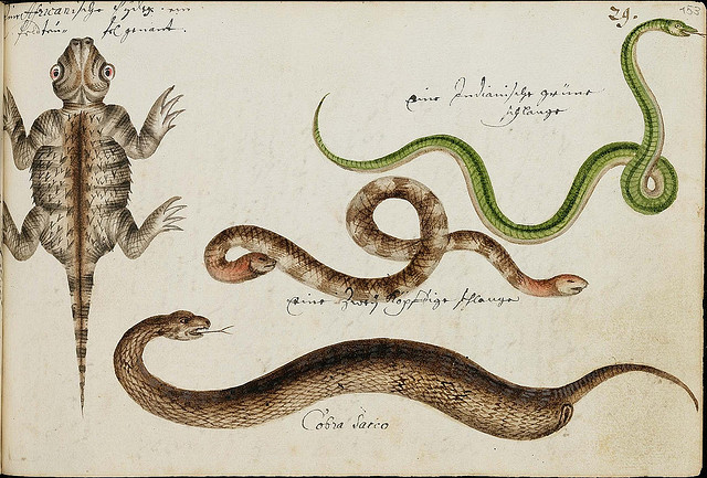 design-is-fine:  The Batavia Journal, 1669 - 1682. These illustrations come from